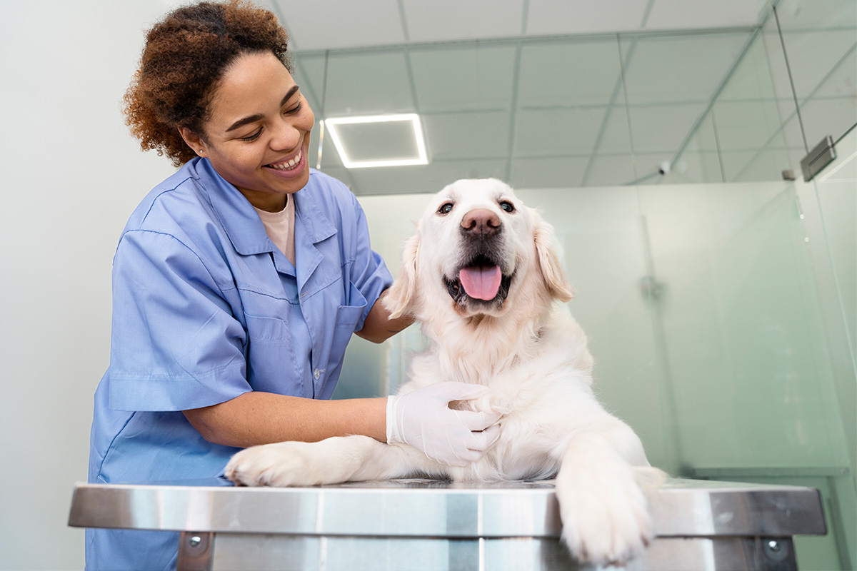 Join Mid Island Animal Hospital | Veterinary Jobs in Hicksville | Apply Now