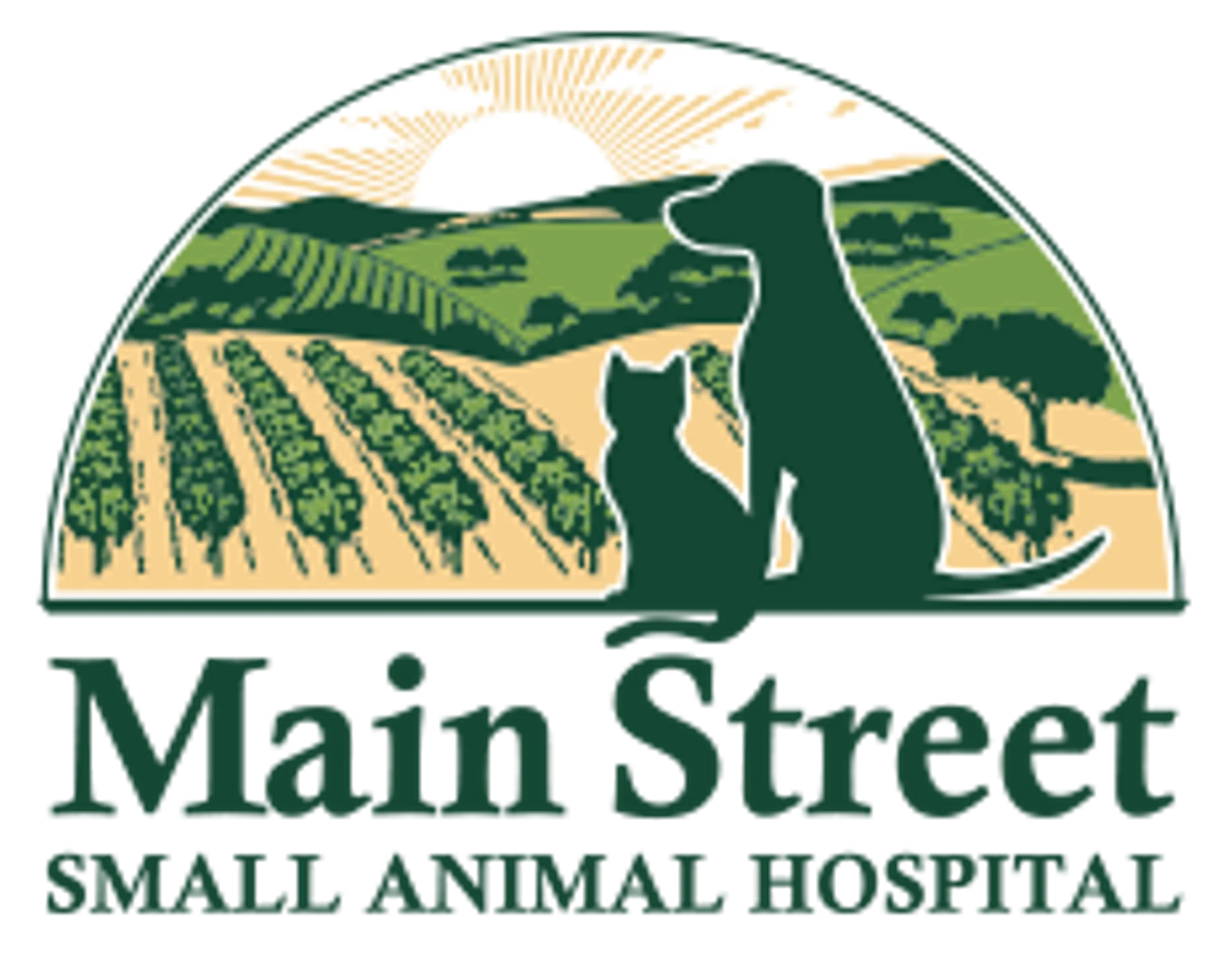 site-logo
