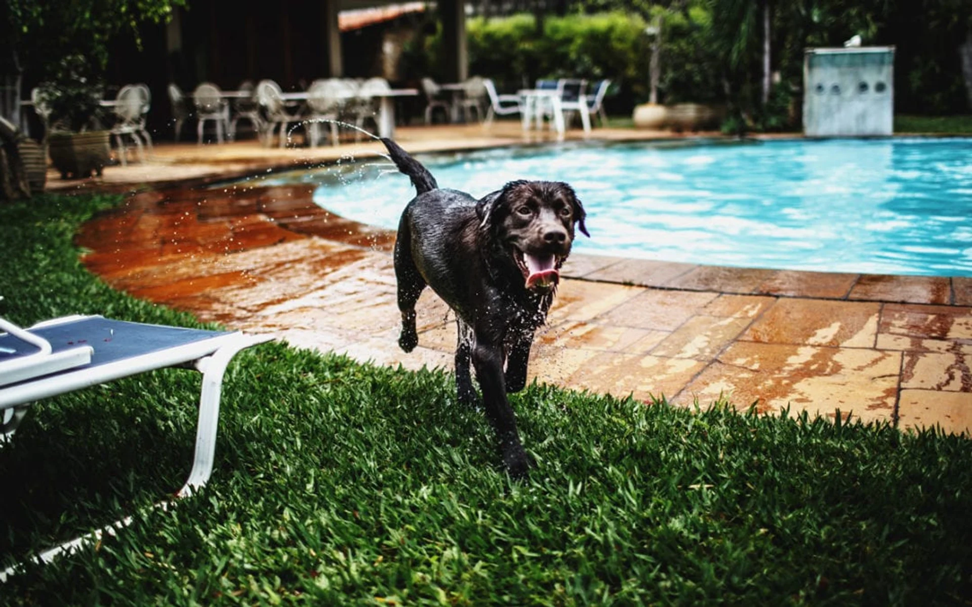 The Dangers of Water Play