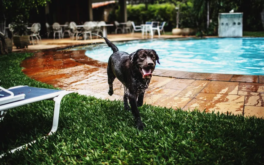 The Dangers of Water Play