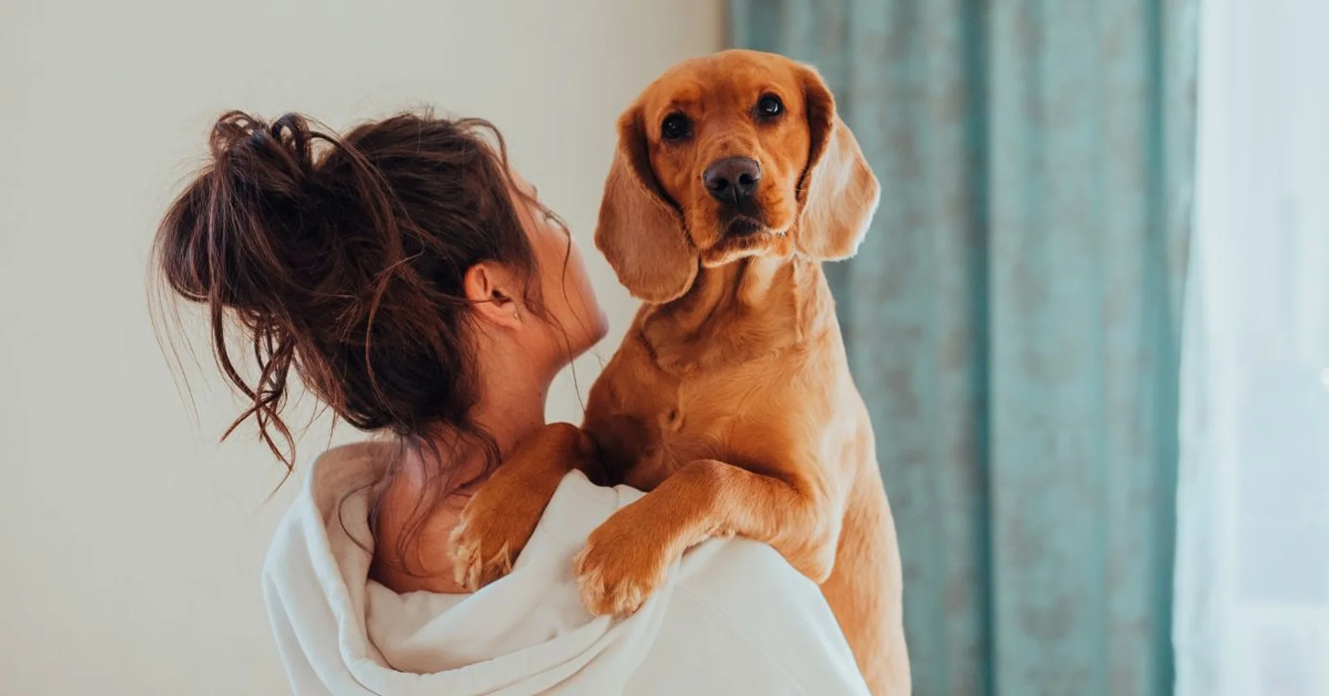 What to Do if Your Dog Swallows Something Large and Can't Digest It