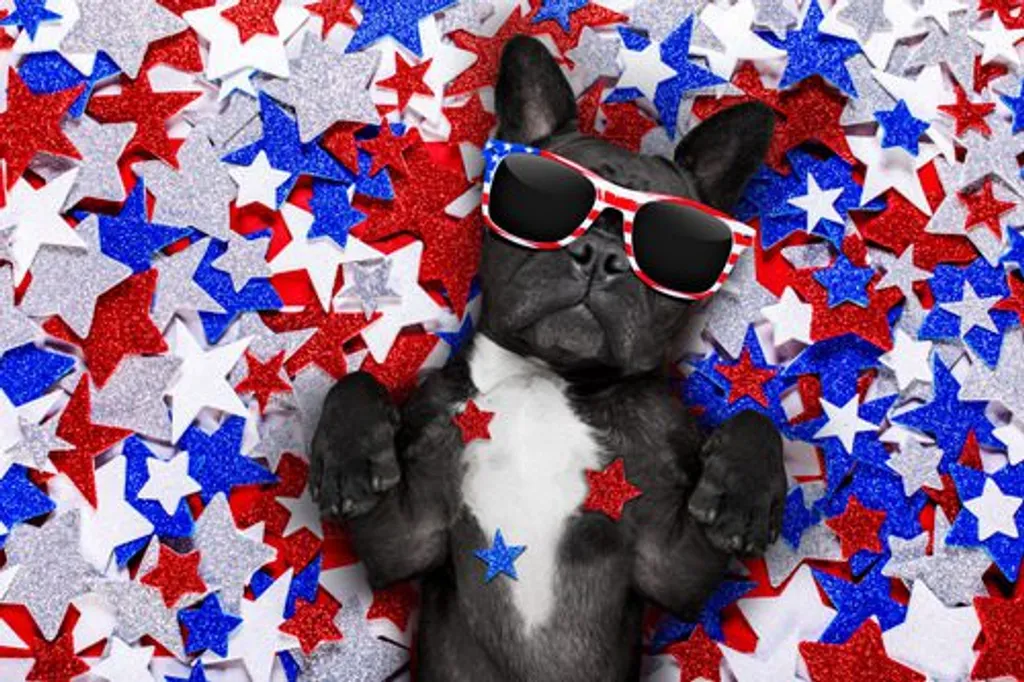4th of July Safety Tips for Pets