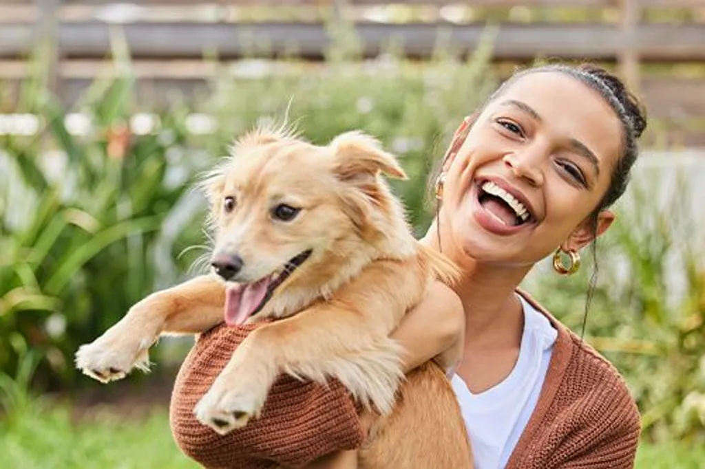 Tips for First-Time Dog Owners