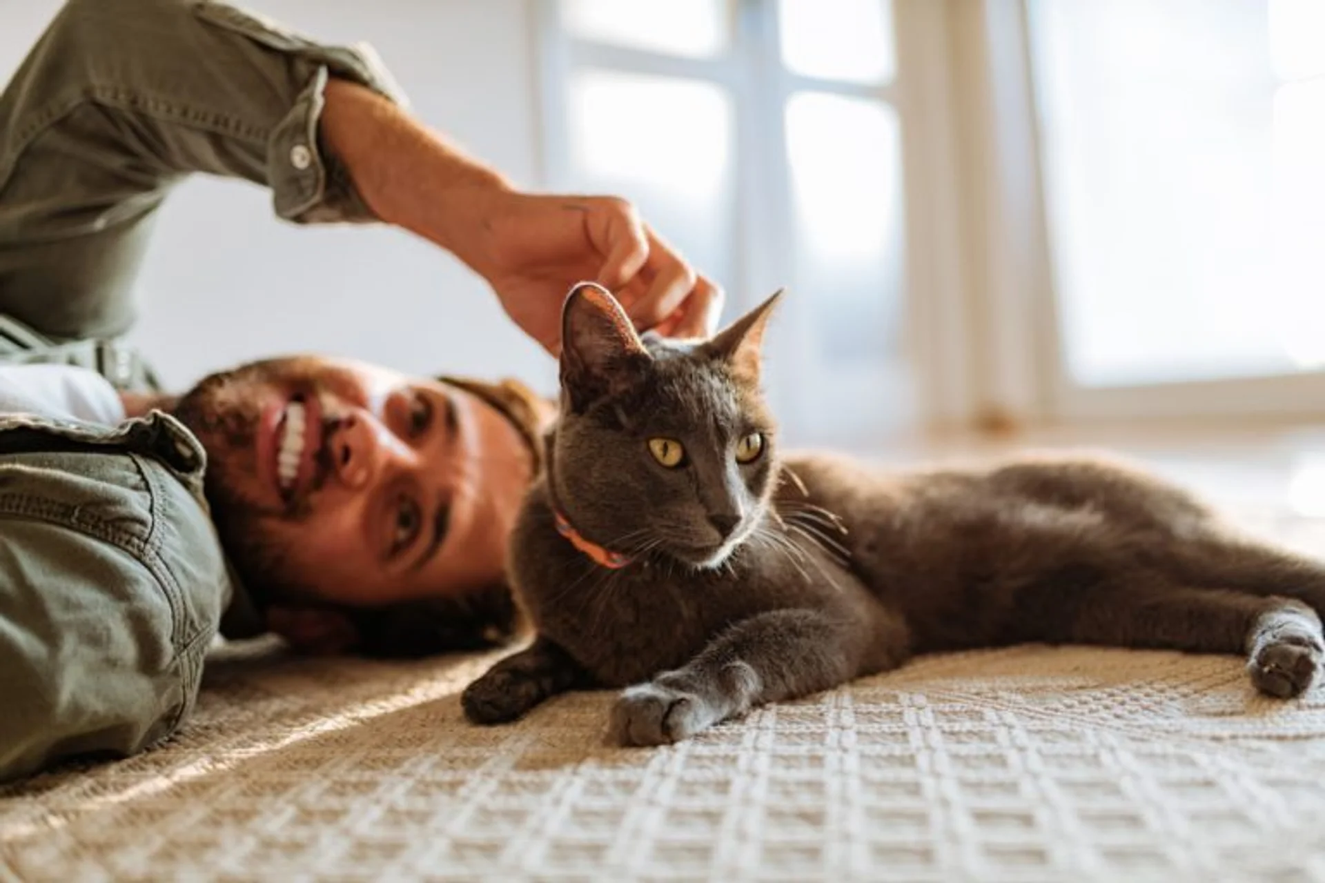 Best Cat Breeds For People With Allergies