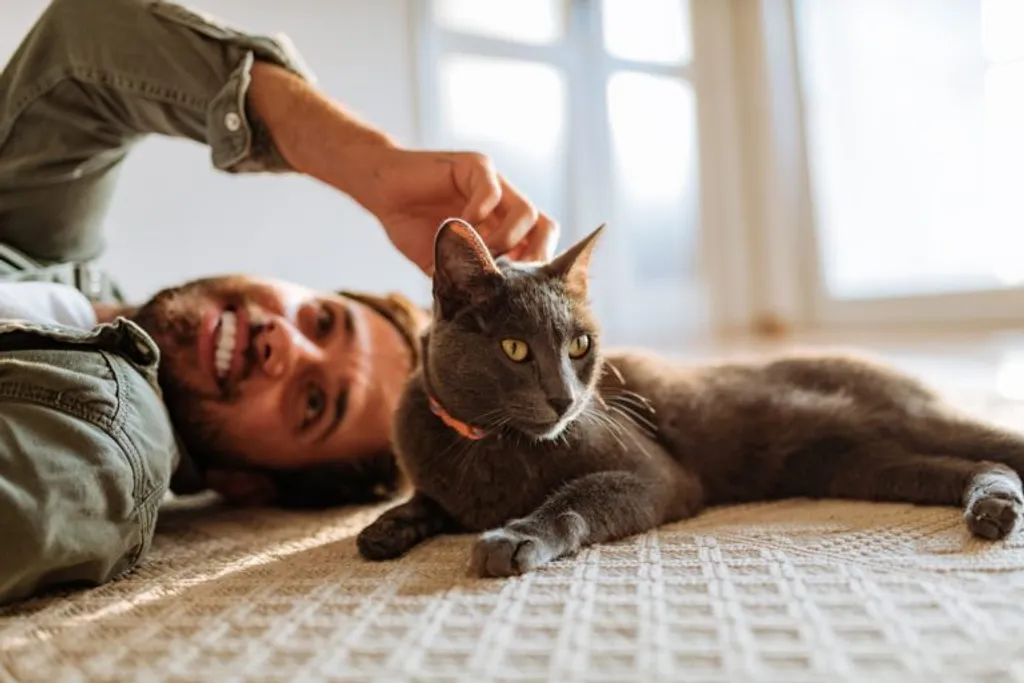 Best Cat Breeds For People With Allergies