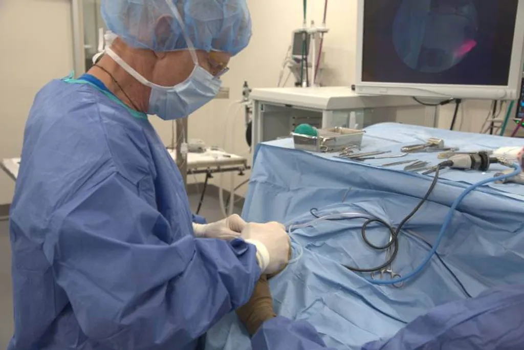 Pet Surgeries