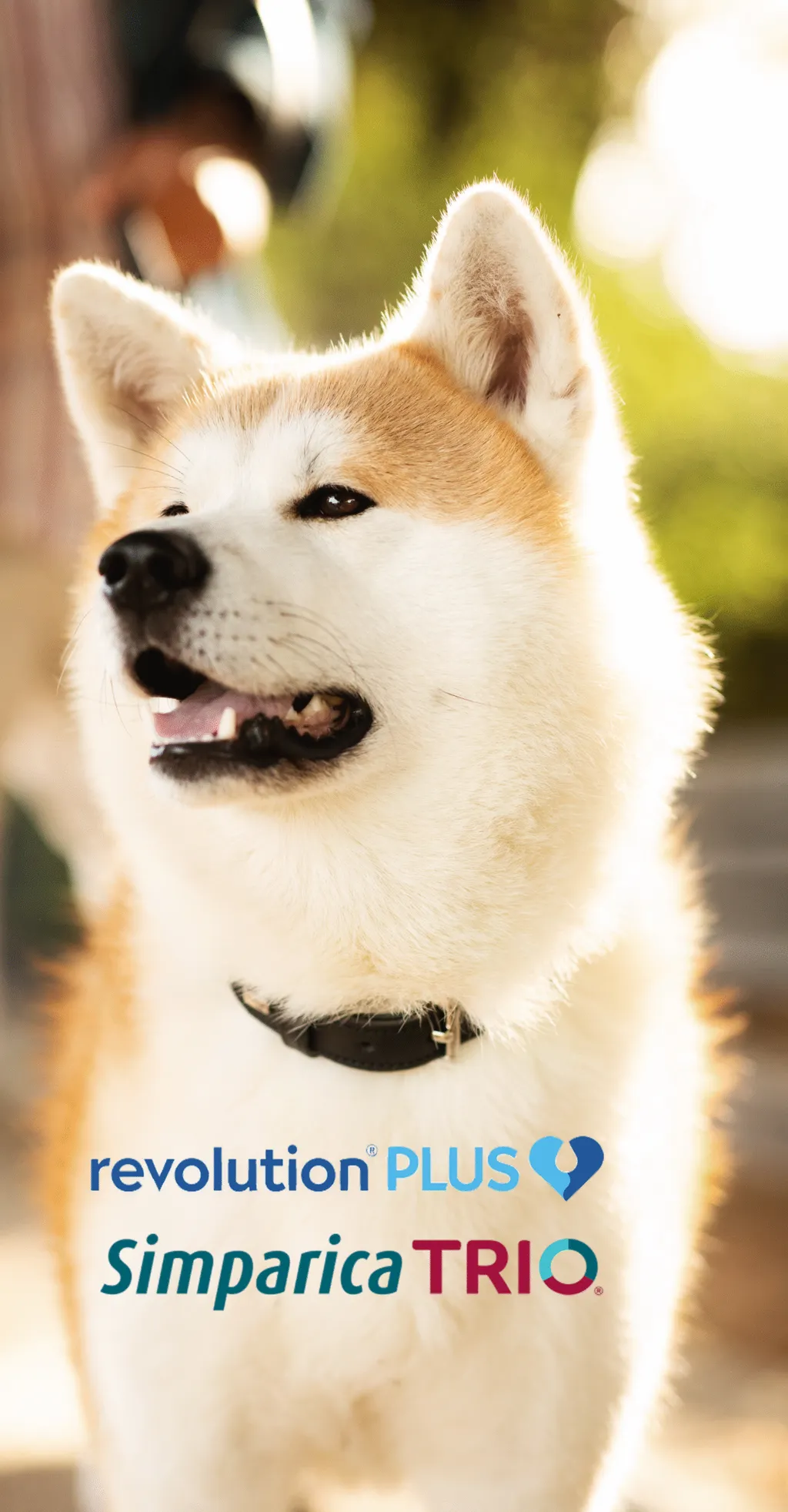 promo_banner_img