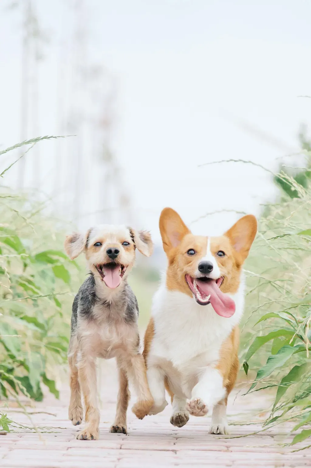 promo_banner_img