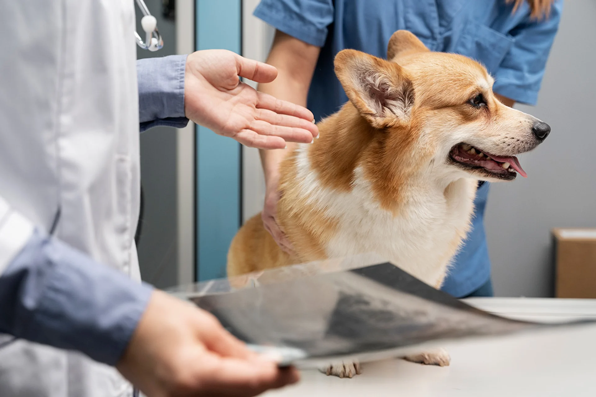 Advanced Diagnostic Imaging